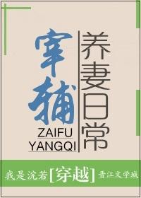宰辅养妻日常格格党