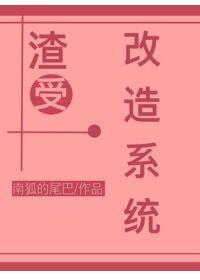 渣虫改造系统