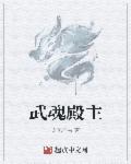 武魂殿主教级别