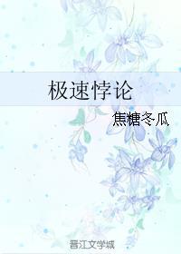 极速悖论电视剧番外