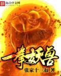 一拳妖兽 张家十三叔