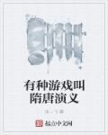 关于隋唐英雄的游戏