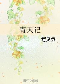 青天记焦尾参讲的是什么