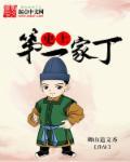 第一家丁电视剧
