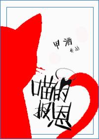 猫的报恩续集