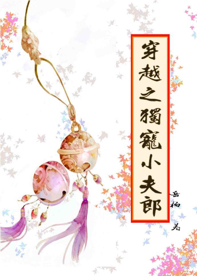 穿越之独宠小夫郎by岳杨百度
