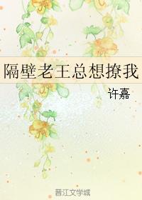 隔壁老王