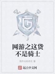 网游之不是玩家