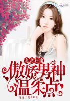 宠妻狂魔特点