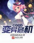 魔法少女变身类动画片