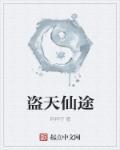 盗天仙途txt八零电子书