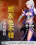 末世之炮灰的