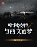 哈利波特比较文学