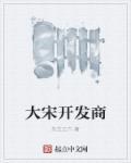 大宋区域