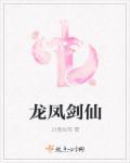 龙凤双剑视频