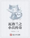 瓦洛兰之盾吧