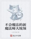 不会使用魔法的人