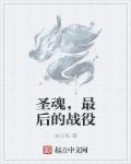 圣魂最强阵容