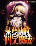 某科学和某魔法