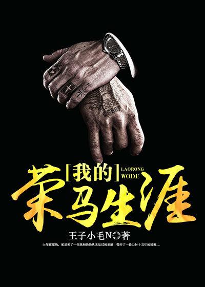 我的荣马生涯 王子小毛N
