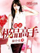 都市极品高手小二