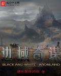 边域奇谋百度百科