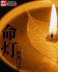 命灯玄机免费阅读