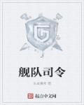 现任北海舰队司令