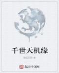 遮天机缘一览表