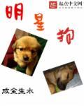 明星狗狗大全