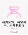 萌宝亿万妻全文免费阅读