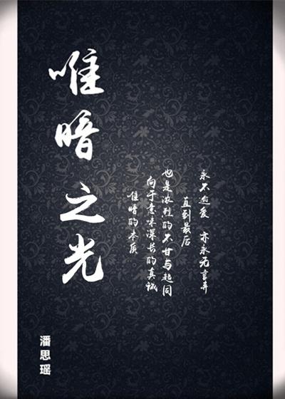 唯暗之光一共多少集啊