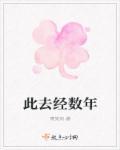 此去经年的意思是什么意思