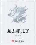 电视剧卧虎肖龙去哪儿了