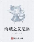 海贼之艾尼路全文阅读