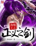 海贼王之正义免费