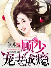 顾少宠妻成瘾全文正版