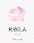 大清佳人游戏链接