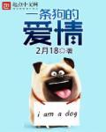 一条狗的爱情故事脱口秀