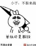 单挑还是群殴是谁说的