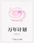 万年计划 宸宸娘