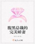 腹黑总裁的腹黑妻