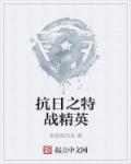 抗战之精英特战免费阅读
