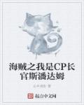 海贼之我是cp长官斯潘达姆免费阅读