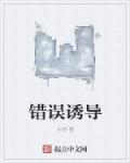 错误指导
