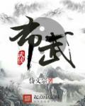 布武海贼王
