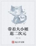 假如大小姐是二次元
