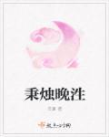 秉烛什么