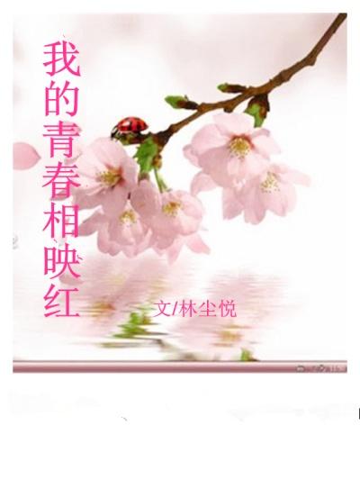我的青春与你相遇的歌