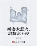 总裁宠不停